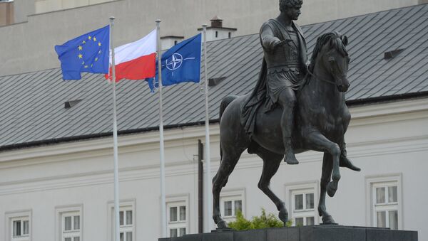 歐洲議會提議針對波蘭啓動歐盟制裁機制 - 俄羅斯衛星通訊社