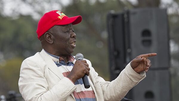 津巴布韦前总理和反对党领袖回国 - 俄罗斯卫星通讯社