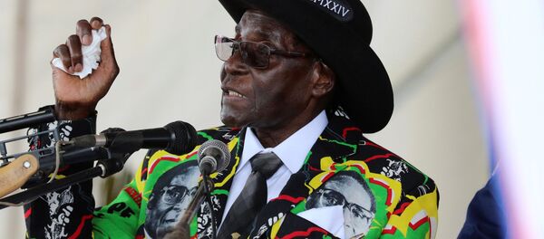 媒体：津巴布韦总统穆加贝拒绝辞职 - 俄罗斯卫星通讯社