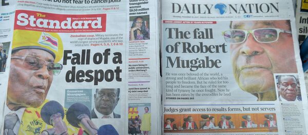 津巴布 - 俄罗斯卫星通讯社