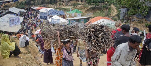 缅甸 - 俄罗斯卫星通讯社