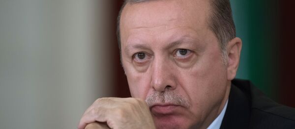 土耳其总统：库尔德工人党头领在土空军对伊拉克北部展开行动时死亡 - 俄罗斯卫星通讯社