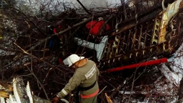 安-2飞机坠毁 - 俄罗斯卫星通讯社