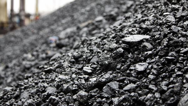 俄中两国煤炭生产基地计划开展合作 - 俄罗斯卫星通讯社