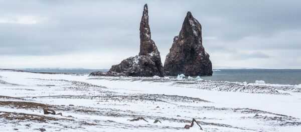 媒體:機器人在北極承擔起救援任務 媒體:機器人在北極承擔起救援任務 - 俄羅斯衛星通訊社