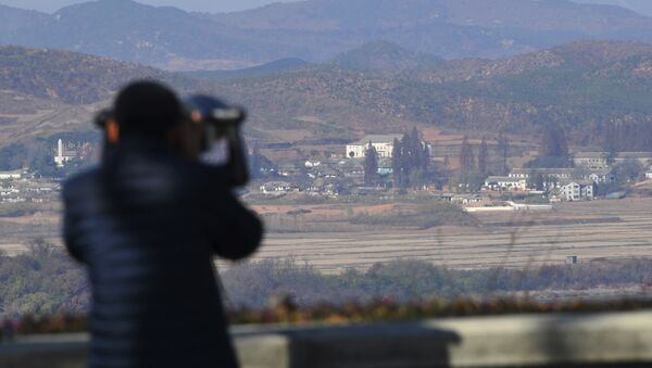A woman looks through binoculars towards North Korea from a South Korean observation post in Paju near the Demilitarized Zone - 俄罗斯卫星通讯社