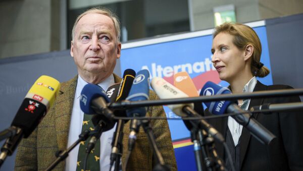 德国组阁谈判破裂后右翼呼吁总理默克尔辞职 - 俄罗斯卫星通讯社