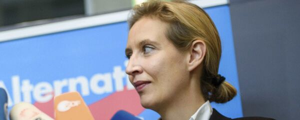 德国组阁谈判破裂后右翼呼吁总理默克尔辞职 - 俄罗斯卫星通讯社