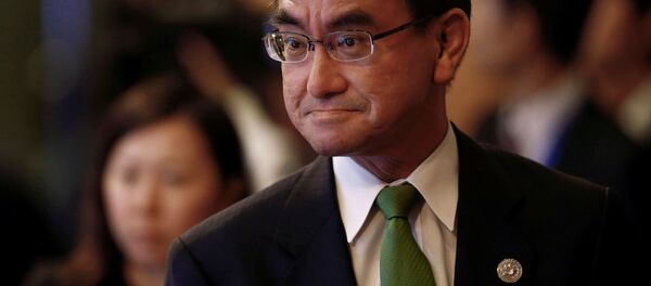日本外相：朝鮮應到2020年前實現無核化 - 俄羅斯衛星通訊社