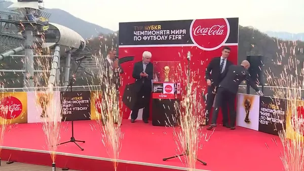 2018世界杯吉祥物化身“空中飛狼” 乘滑索過懸崖 - 俄羅斯衛星通訊社