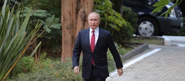 普京建議制定復興敘利亞的全面計劃 - 俄羅斯衛星通訊社