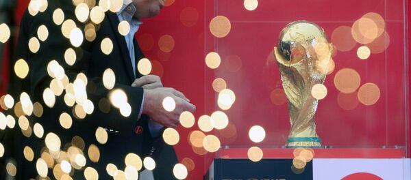 世界杯 - 俄罗斯卫星通讯社