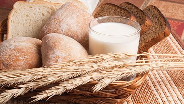 俄羅斯將生產含石蕊成分的食療麵包 - 俄羅斯衛星通訊社