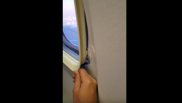 男子坐飛機發現舷窗內側鬆動 - 俄羅斯衛星通訊社