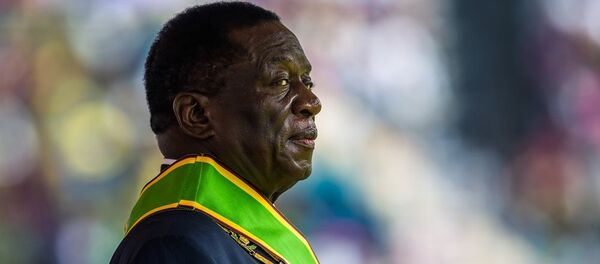 Zimbabwe's new interim President Emmerson Mnangagwa - 俄罗斯卫星通讯社