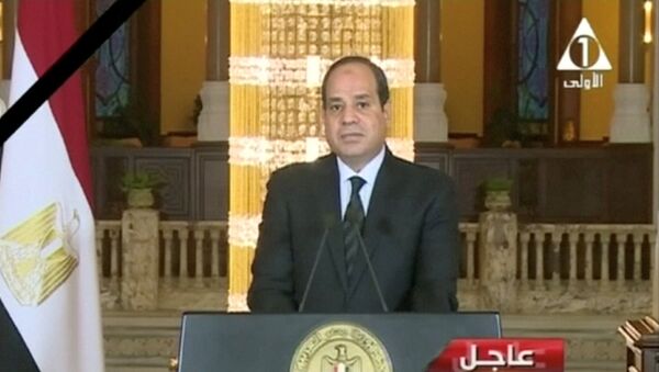 埃及總統 - 俄羅斯衛星通訊社