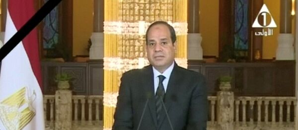 埃及總統 - 俄羅斯衛星通訊社