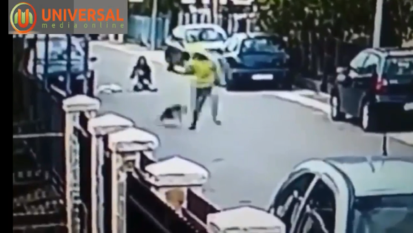 黑山一流浪狗將一名女士從搶匪手中救出 - 俄羅斯衛星通訊社