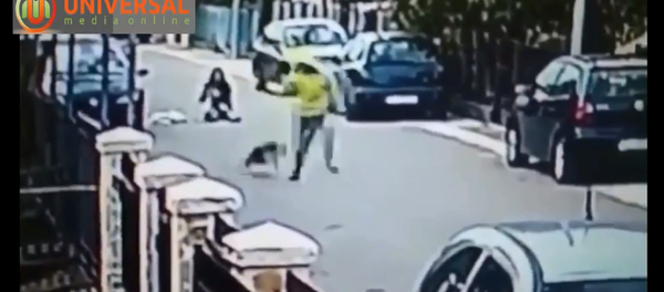 黑山一流浪狗將一名女士從搶匪手中救出 - 俄羅斯衛星通訊社