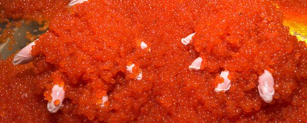 Производство икры в рыболовецком колхозе на Камчатке Производство икры в рыболовецком колхозе на Камчатке - 俄罗斯卫星通讯社