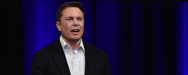 美国太空探索技术公司（SpaceX）创始人埃隆·马斯克 - 俄罗斯卫星通讯社