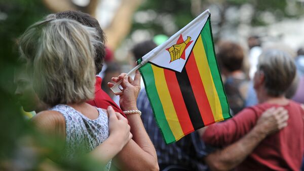 津巴布韦国旗 - 俄罗斯卫星通讯社