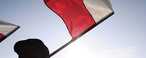 波兰历史学者被俄驱除出境是华沙此前行为的回应措施 - 俄罗斯卫星通讯社