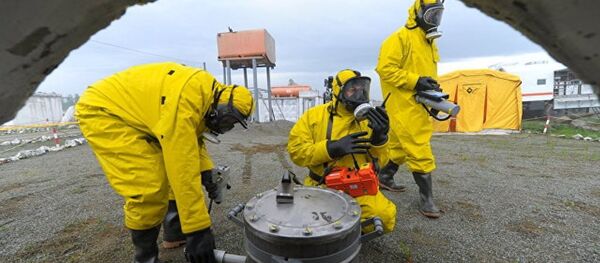 俄中核电专家交流核电站运行经验 - 俄罗斯卫星通讯社