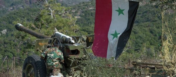 土副总理：土与俄美伊三国讨论土军在叙阿夫林行动问题 - 俄罗斯卫星通讯社