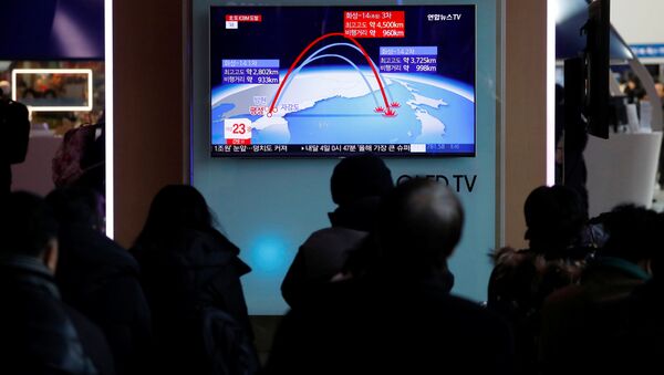 俄专家指出能促使朝鲜冻结核计划的情况 - 俄罗斯卫星通讯社
