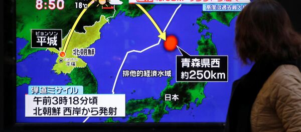 俄外長：防止朝鮮半島爆發武裝衝突是當前的重中之重 - 俄羅斯衛星通訊社