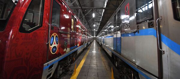 俄政府通过世界杯观众凭球迷护照免签入境法案 - 俄罗斯卫星通讯社