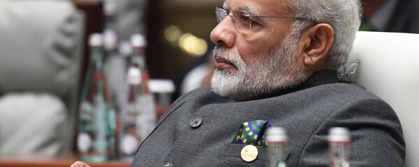 媒体：莫迪希望得到中国投资 - 俄罗斯卫星通讯社