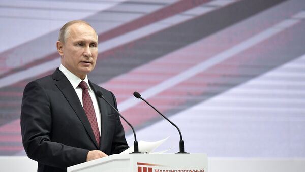 普京总统表示2017年是成功之年 - 俄罗斯卫星通讯社