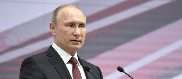 普京总统表示2017年是成功之年 - 俄罗斯卫星通讯社