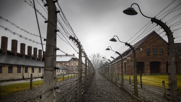Концентрационный лагерь Аушвиц-Биркенау (Освенцим) в Польше - 俄罗斯卫星通讯社