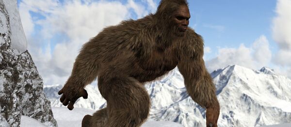 科学家：喜马拉雅雪人实为熊 - 俄罗斯卫星通讯社