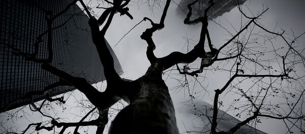 中国 僵尸企业蚕食1.2%的GDP - 俄罗斯卫星通讯社