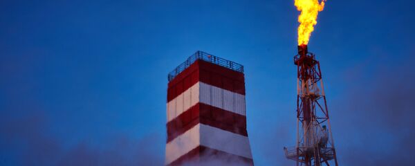 普京：俄气在玻利维亚的开采量或将扩大1倍 - 俄罗斯卫星通讯社