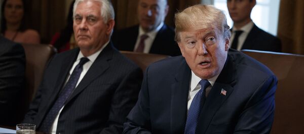 Президент США Дональд Трамп и госсекретарь США Рекс Тиллерсон во время заседания кабинета министров в Белом доме - 俄羅斯衛星通訊社