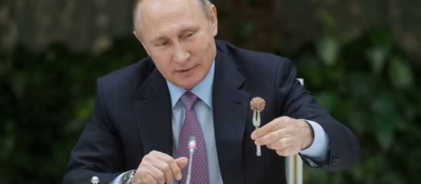 印尼人协主席称普京是自己的偶像 - 俄罗斯卫星通讯社