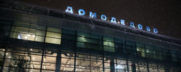 多莫杰多沃机场 - 俄罗斯卫星通讯社