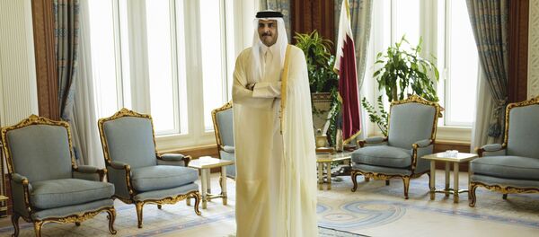 卡塔爾埃米爾塔米姆•本•哈馬德•阿勒薩尼 - 俄羅斯衛星通訊社