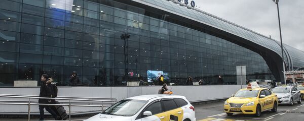 莫斯科多莫杰多沃机场 - 俄罗斯卫星通讯社