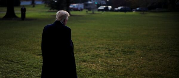 U.S. President Donald Trump departs the White House for New York in Washington - 俄罗斯卫星通讯社