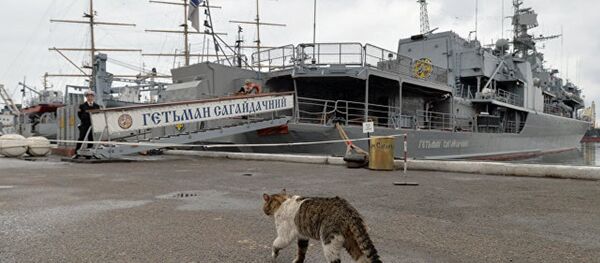 乌克兰海军拟建“蚊式舰队” - 俄罗斯卫星通讯社