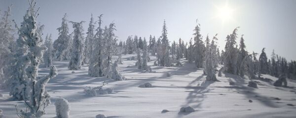 俄世界寒極開設首家賓館 - 俄羅斯衛星通訊社