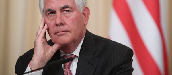 美国务卿将于1月15日至17日在加拿大就朝鲜问题举行会议 - 俄罗斯卫星通讯社