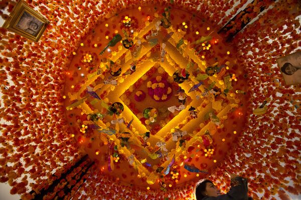 《環球時報》寫到，萬聖節題材各類動畫電影的受歡迎度上升，使中國年輕一代對鬼怪文化稍微有了不一樣的理解。《尋夢環遊記》的成功正好證明瞭這一點。 - 俄羅斯衛星通訊社