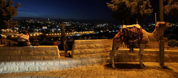 耶路撒冷 - 俄罗斯卫星通讯社